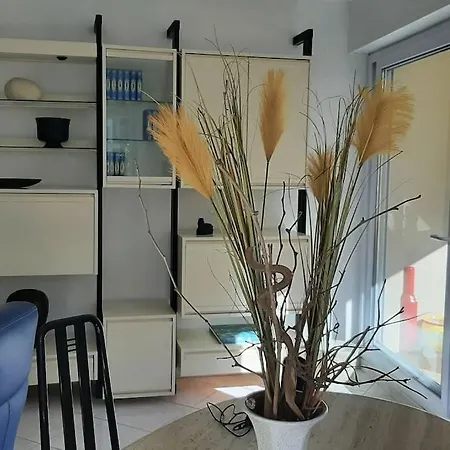 Lejlighed Grand T2 Lumineux, 2 Balcons, Coeur De Ville, A 100m Plage, Parking Sainte-Maxime