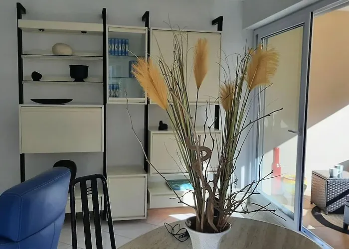 Lejlighed Nouveau Coeur De Ville, 100 M De La Plage, Spacieux Sainte-Maxime